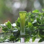 Athletia Lip Oil Essence 1