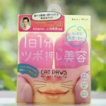 Cat’s Paw Facial Massager 3