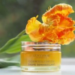L’Occitane Immortelle Divine Cleansing Balm 2