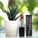 Odylique Lipstick 2