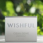 Wishful Clean Genie 3